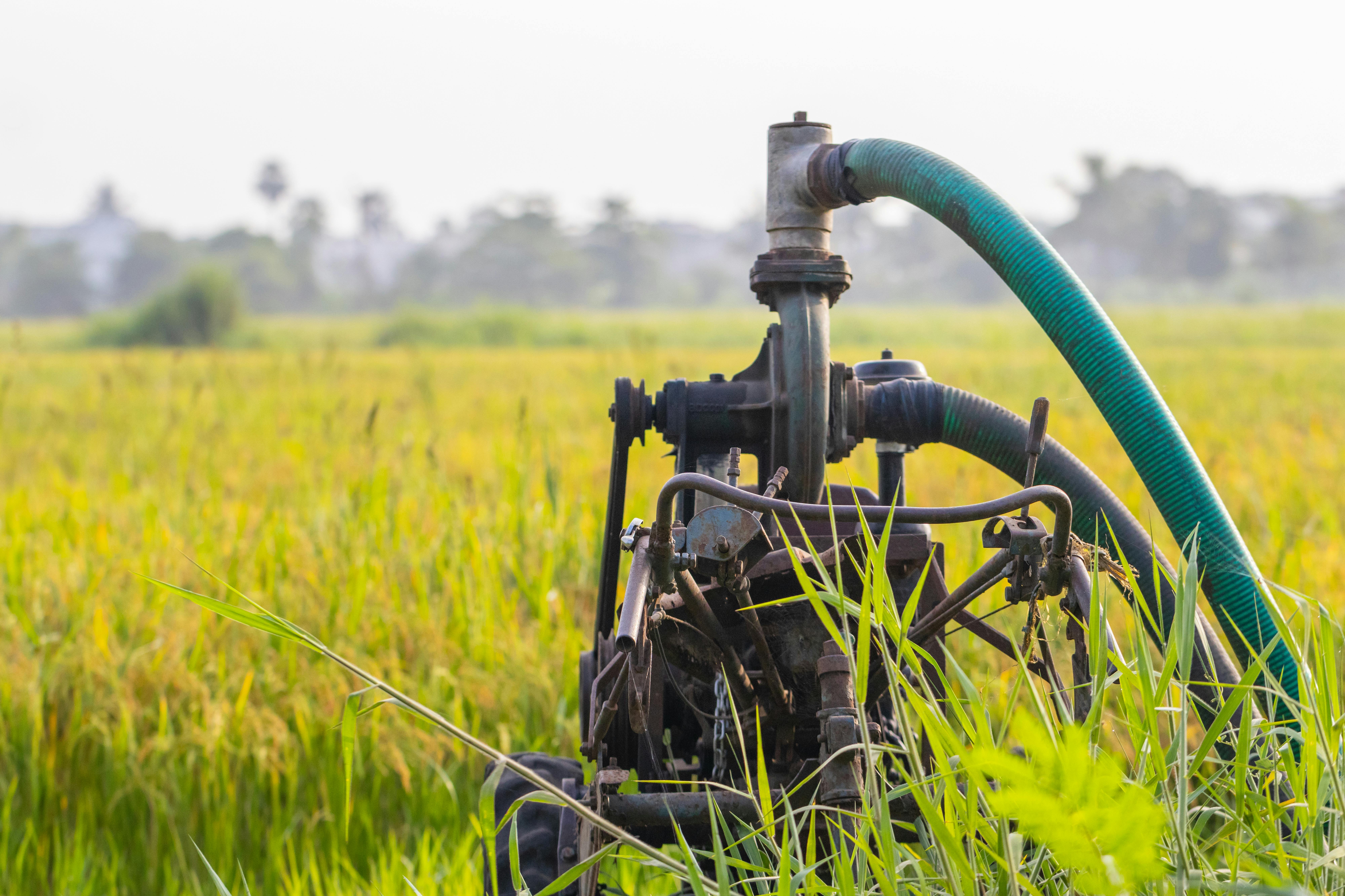 Agricultural irrigation scene used as visual reference